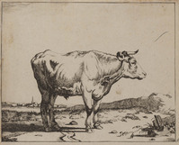 TvB G 0485
<br/>
Staande stier met de kop naar rechts
<br/>
<em>Bije, Marcus de (1639-ca. 1690)</em>